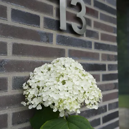 Lantliv * ויסמור